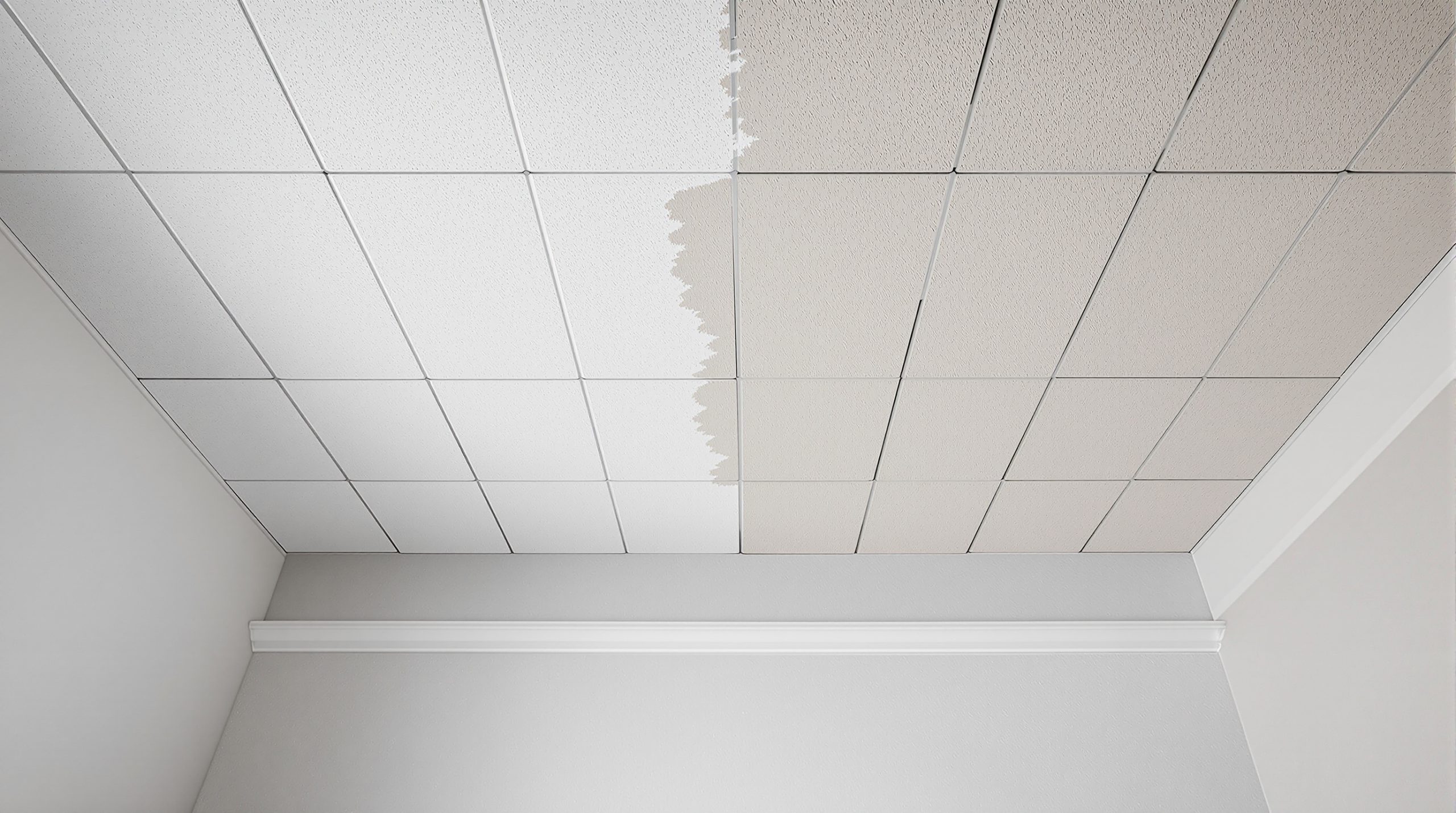 Prix isolation acoustique plafond : comparez les méthodes et coûts